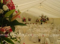 Wedding Flower Wales 1087552 Image 6